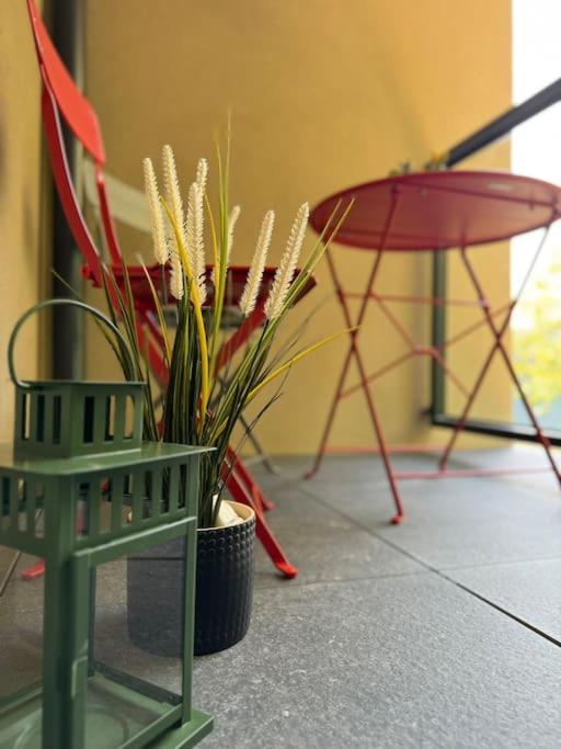 Art & High Studio Z Parkingiem Podziemnym Krynica Zdroj Buitenkant foto