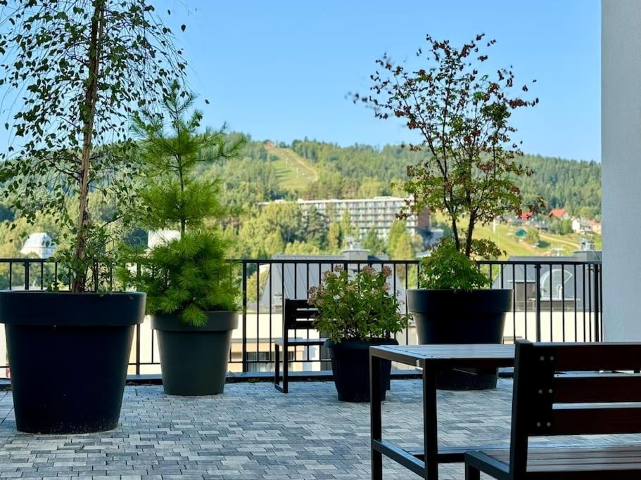 Art & High Studio Z Parkingiem Podziemnym Krynica Zdroj Buitenkant foto